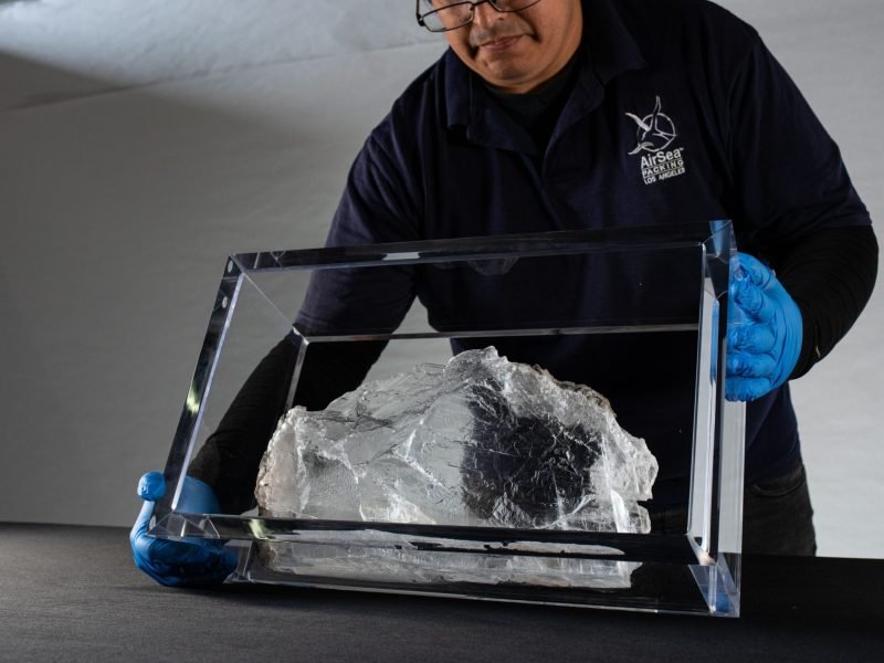 AirSea Packing White-Glove Delivery Image 2